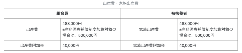 家族出産費附加金 出産祝い金