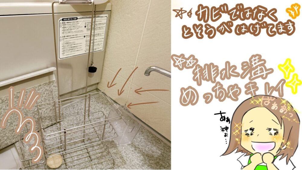 2児を育てる専業主婦のママがキッズラインの家事代行を初利用。掃除後の実際のお風呂の様子とキレイさに感動している